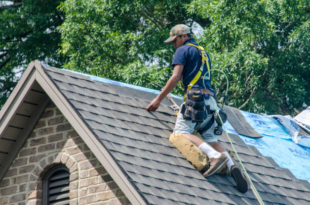 Best Roof Gutter Cleaning  in Stonecrest, GA